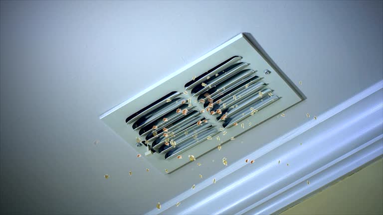 Best Affordable HVAC Duct Cleaning  in Greenwich, OH