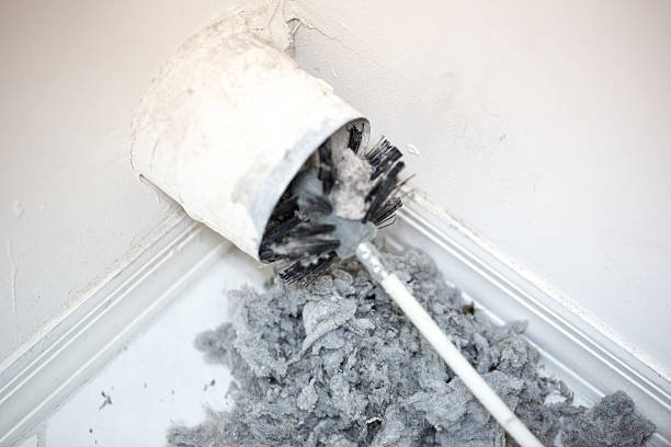 Best Home Air Vent Cleaning  in Greenwich, OH